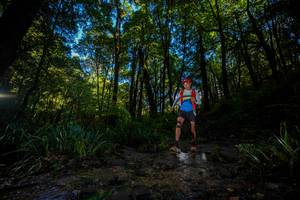 BIB: 
                            <button type="button" onclick="openModal(19240825)" class="btn btn-primary btn-sm float-right btn-popup" data-toggle="modal" data-target=".modal-high-quality">
                        <i class="fas fa-shopping-cart"></i> Add to Cart
                    </button>
                                            <button type="button" onclick="isThisMe(19240825, true)" class="btn btn-success btn-sm float-right btn-popup btn-isme hidden" data-toggle="tooltip" data-placement="bottom" title="นี่คือรูปของคุณใช่ไหม คลิกที่นี่เพื่อเอาเข้าอัลบั้ม">
                        <i class="fas fa-plus"></i> Add to album
                    </button>
                    <button type="button" onclick="isThisMe(19240825, false)" class="btn btn-warning btn-sm float-right btn-popup btn-isnotme hidden">
                        <i class="fas fa-ban"></i> Remove from album
                    </button>